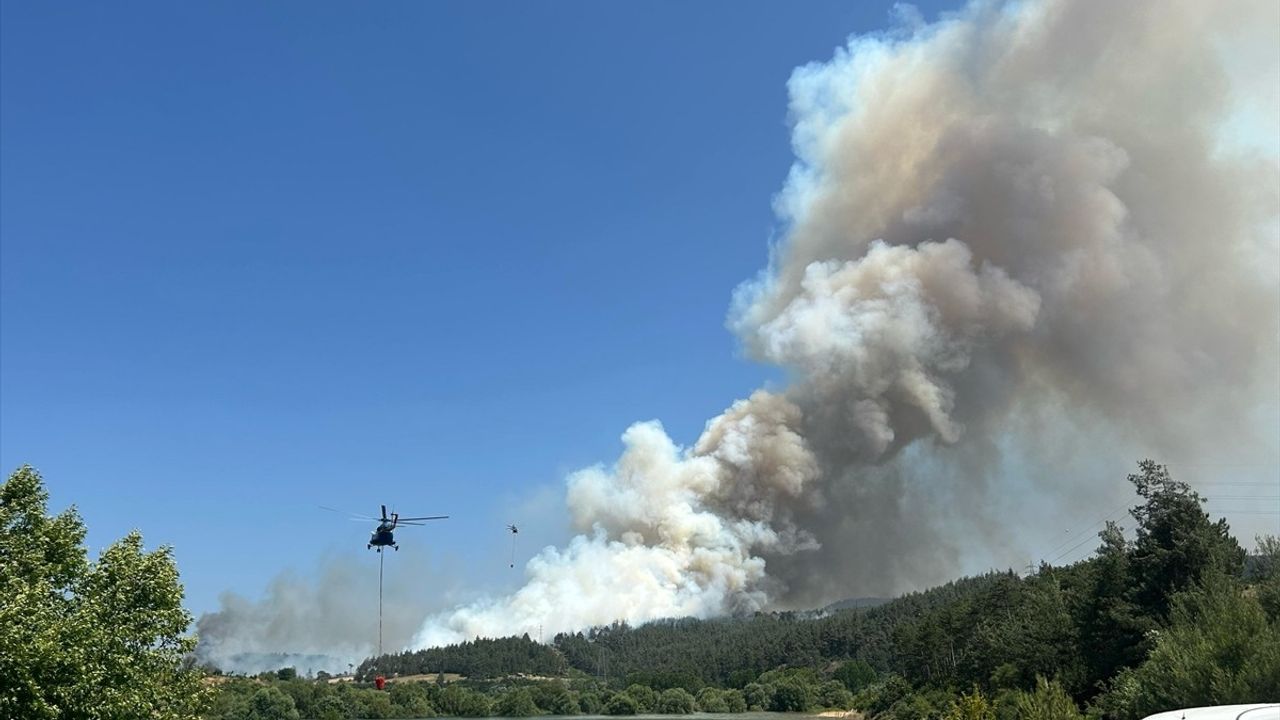 Bursa'da Anız Yangını Ormana Sıçradı: Ekipler Müdahaleye Devam Ediyor