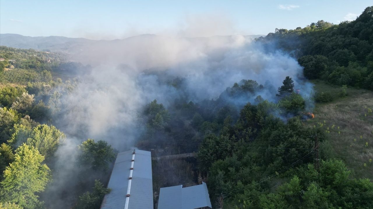 Bursa'da Merada Çıkan Yangın, Ormanlık Alana Sıçramadan Kontrol Altına Alındı