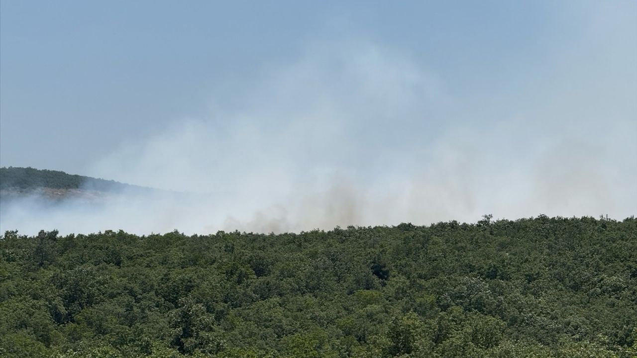 Bursa'da Orman Yangını: Havadan ve Karadan Müdahale