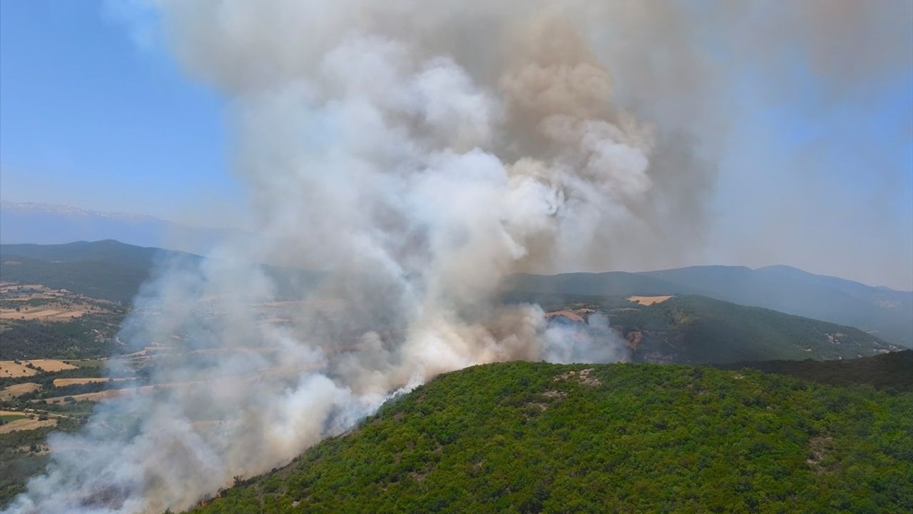 Bursa'da Orman Yangını: Hızla Kontrol Altına Alınmaya Çalışılıyor