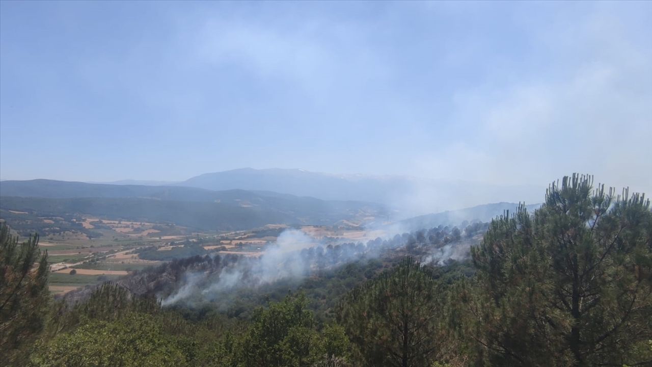 Bursa'da Orman Yangını Kontrol Altına Alındı