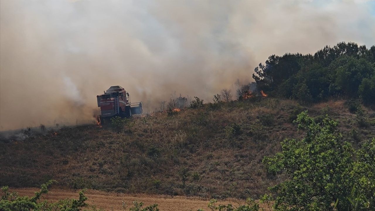 Bursa'da Orman Yangınına Havadan ve Karadan Müdahale Ediliyor
