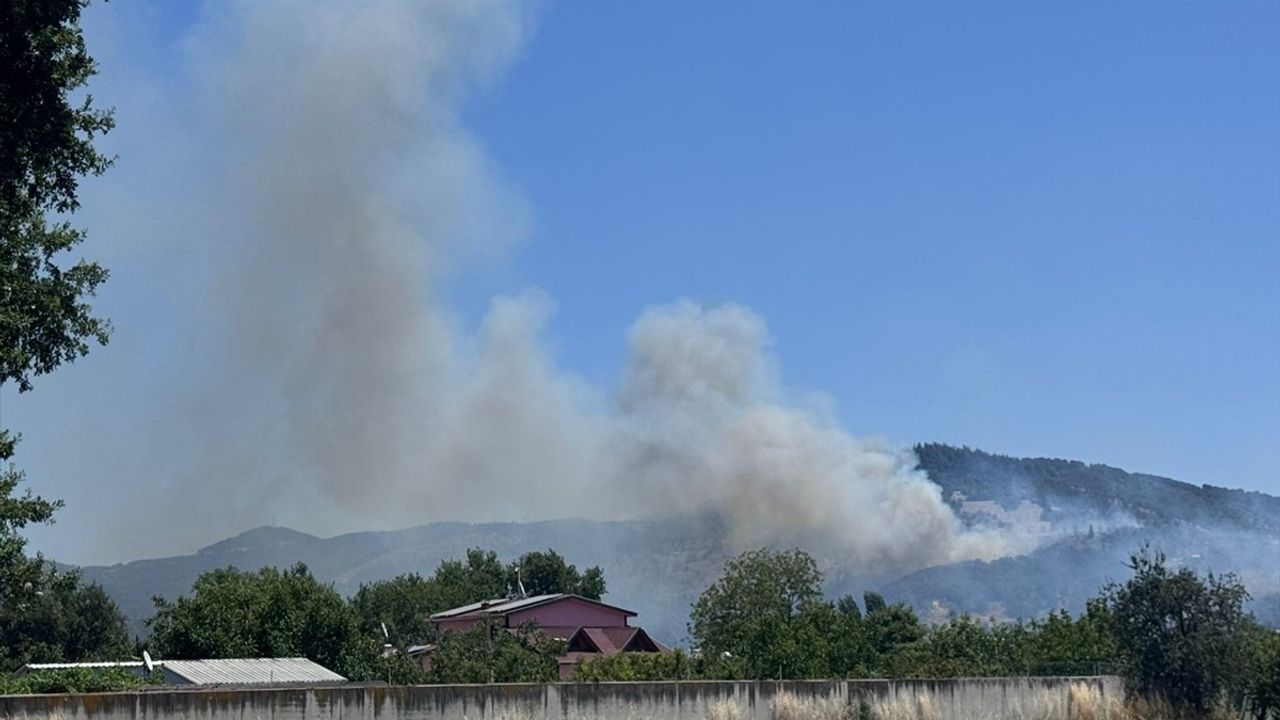 Bursa'da Tarım Alanında Yangın: Kontrol Altına Alma Çalışmaları Devam Ediyor