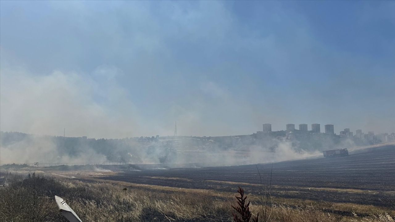 Bursa'da Yerleşim Yeri Yakınında Anız Yangını Kontrol Altına Alındı