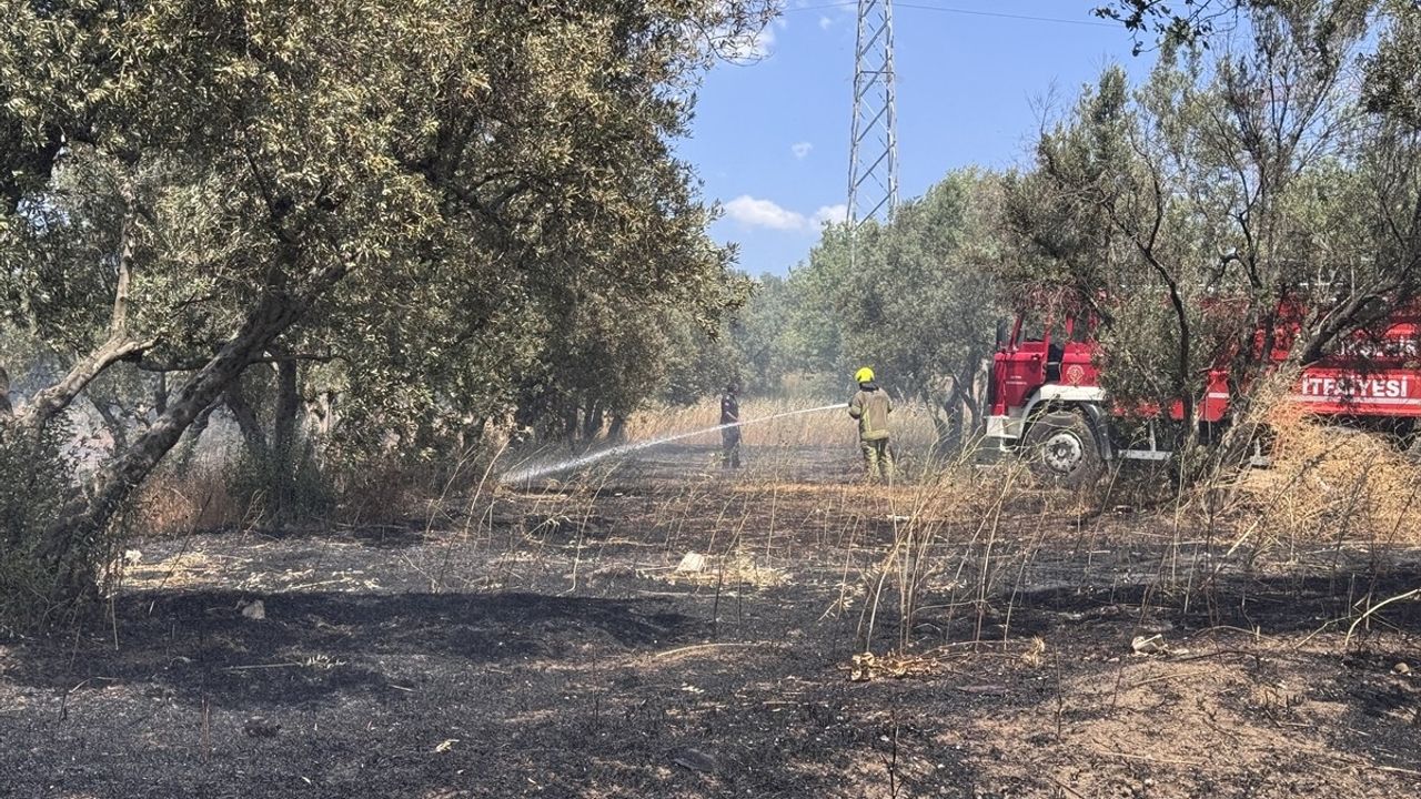 Bursa'da Zeytinliğe Sıçrayan Yangın Kontrol Altına Alındı