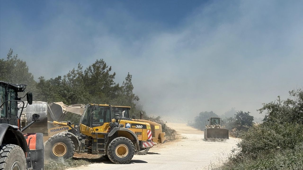 Bursa'daki Orman Yangını Kontrol Altına Alındı