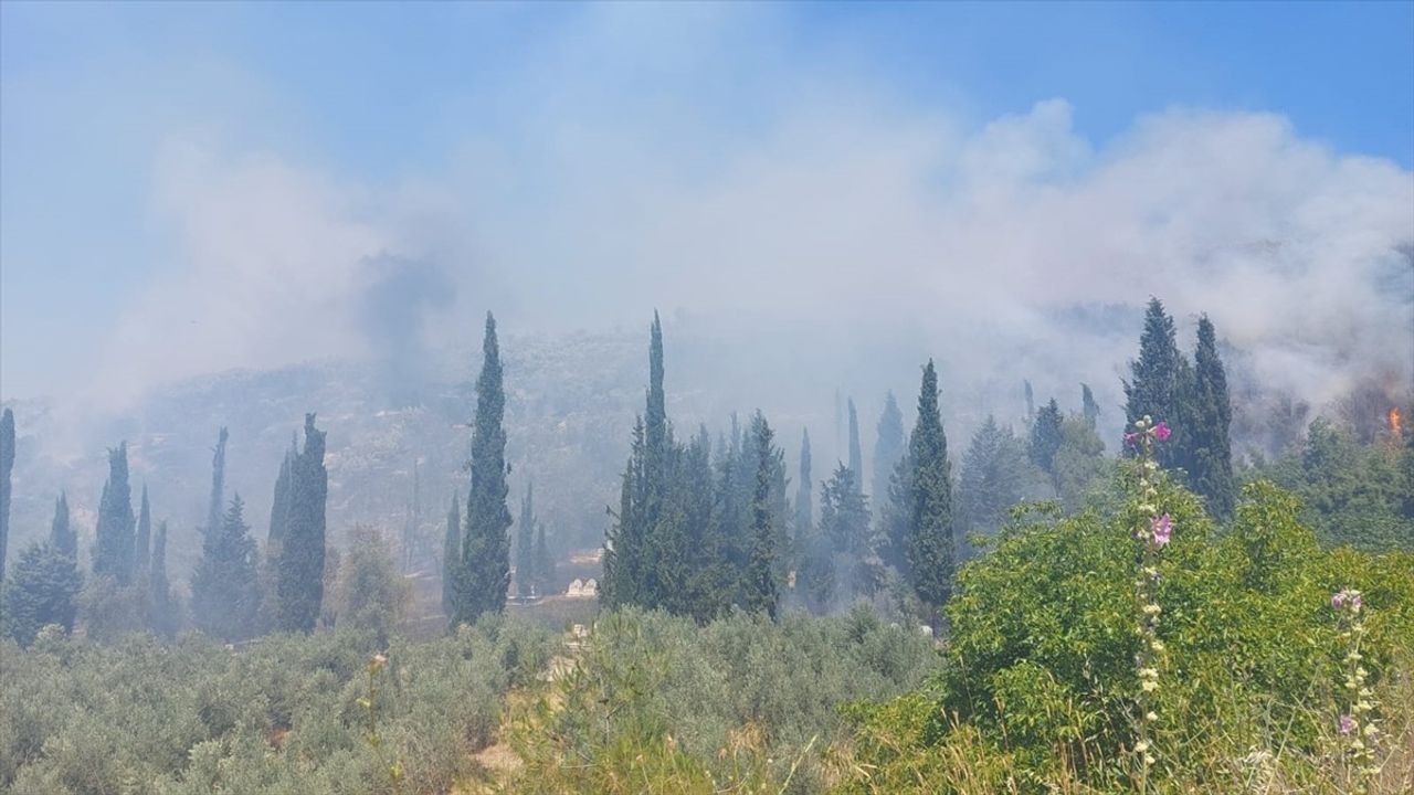 Bursa'daki Yangın Kontrol Altına Alındı: Şu Anki Durum