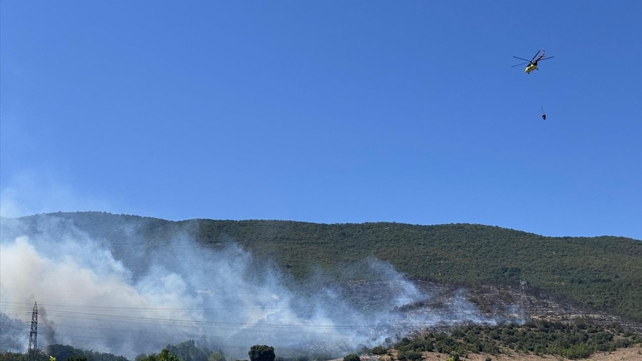 Bursa'nın Yenişehir İlçesinde Orman Yangınına Mücadele Başladı