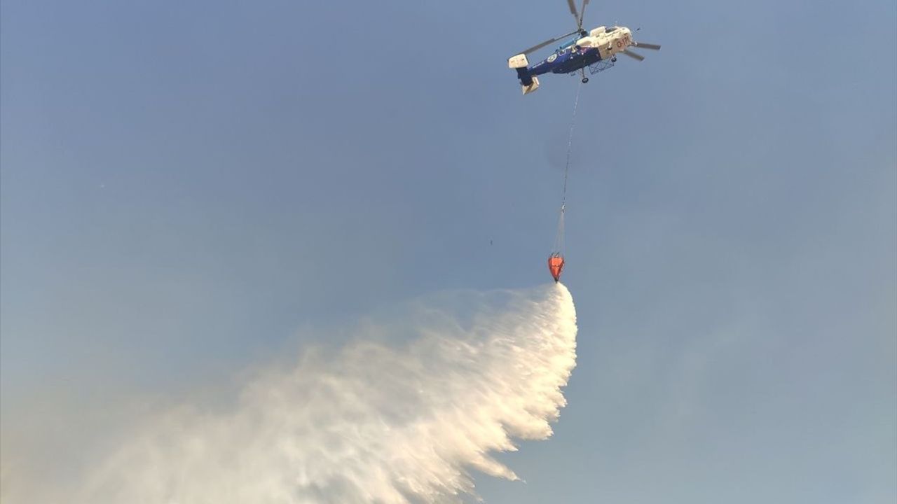 Çanakkale Bayramiç'te Tarım Arazisinde Yangın Çıktı