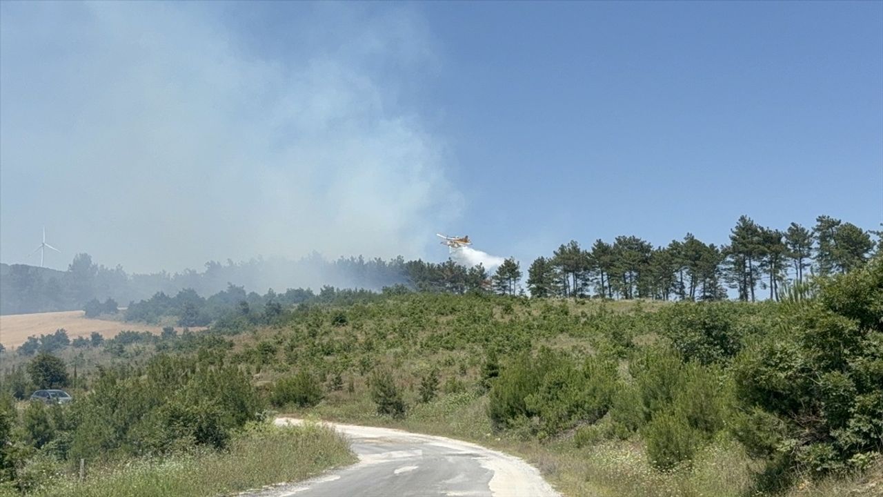 Çanakkale'de Orman Yangını Kontrol Altına Alındı