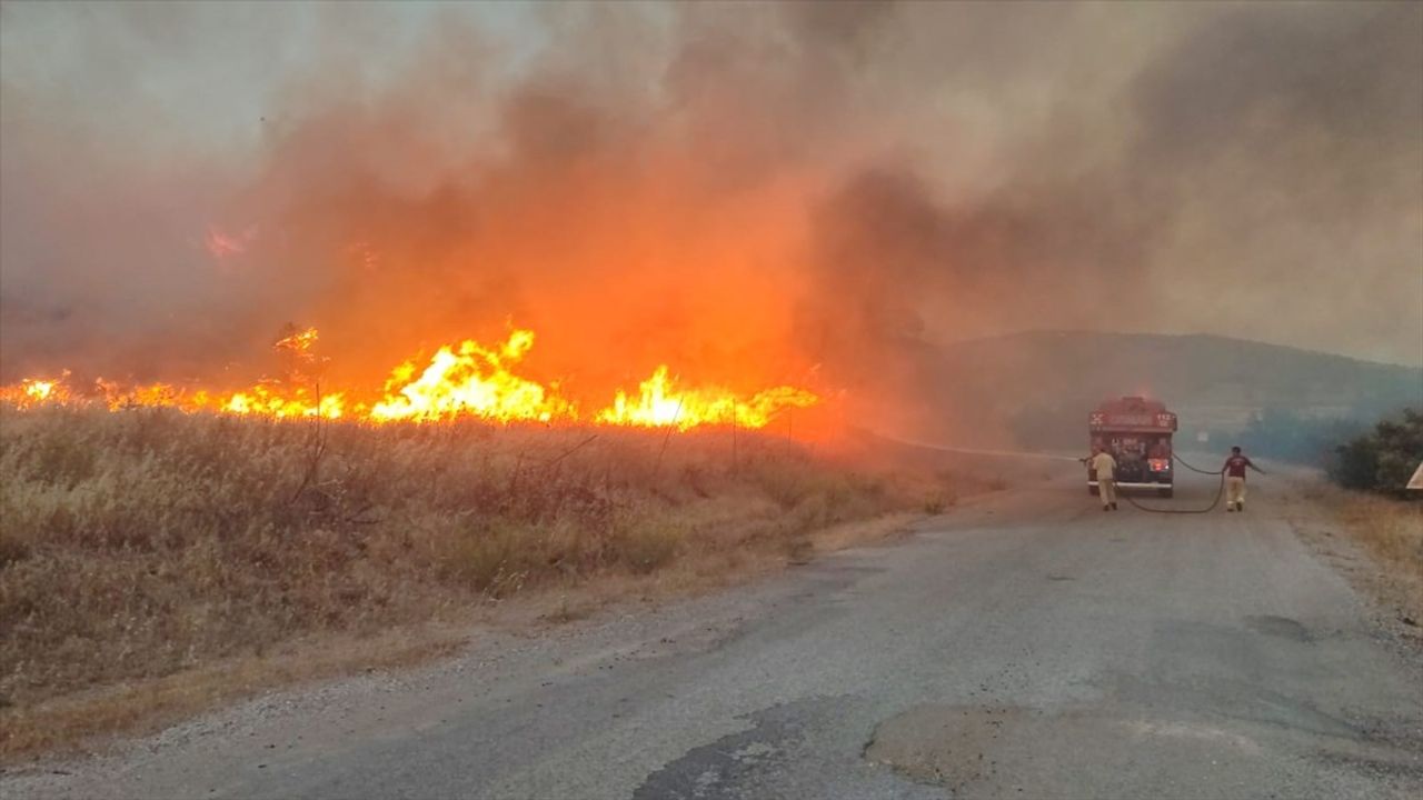 Çanakkale'de Tarım Arazisinde Yangın: Ekipler Olay Yerinde