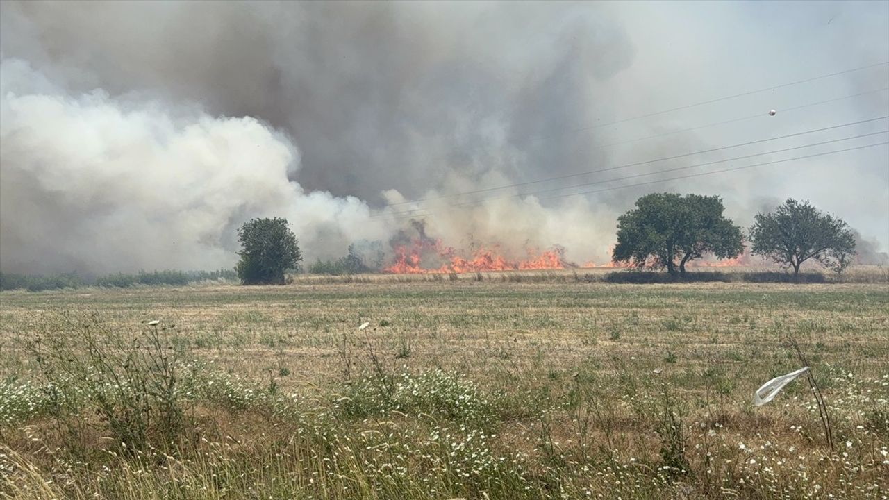 Çanakkale'de Tarım Arazisinde Yangın Kontrol Altına Alındı