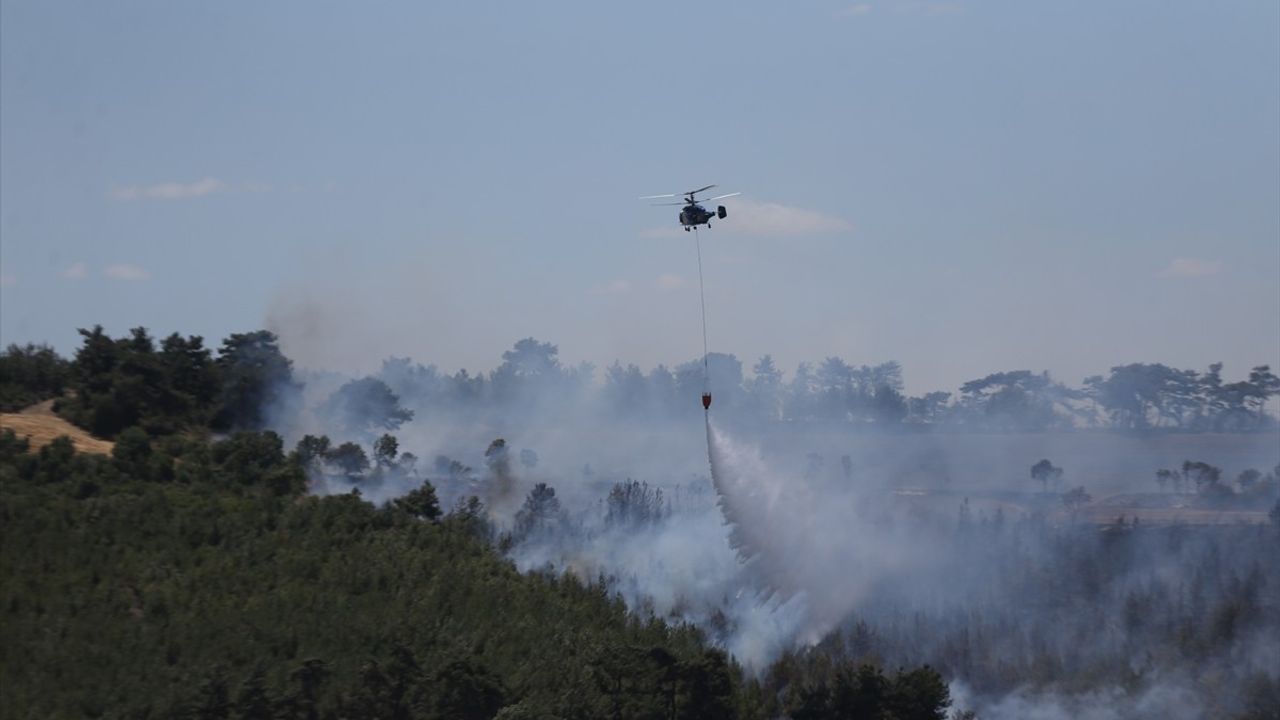 Çanakkale'de Tarım Arazisinden Ormanlık Alana Sıçrayan Yangın
