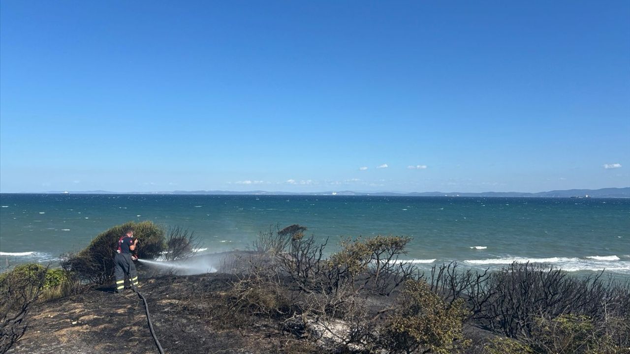 Çanakkale'de Yangın: 100 Dönüm Buğday ve 150 Dönüm Makilik Alan Zarar Gördü