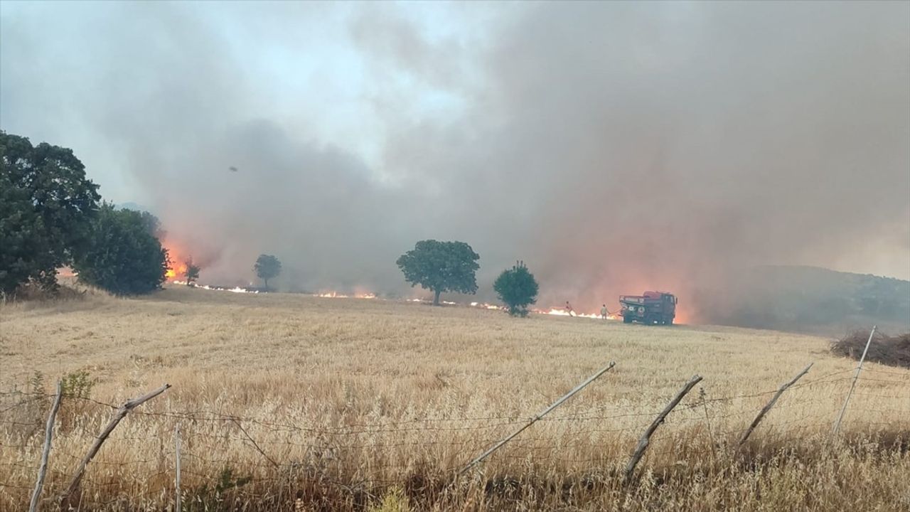 Çanakkale'deki Tarım Arazisinde Yangın Kontrol Altına Alındı