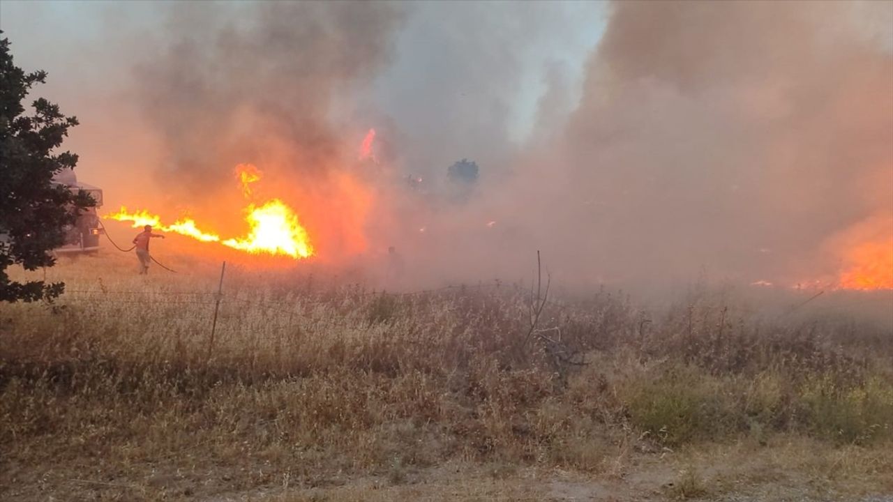 Çanakkale'deki Tarım Arazisindeki Yangın Kısmen Kontrol Altına Alındı