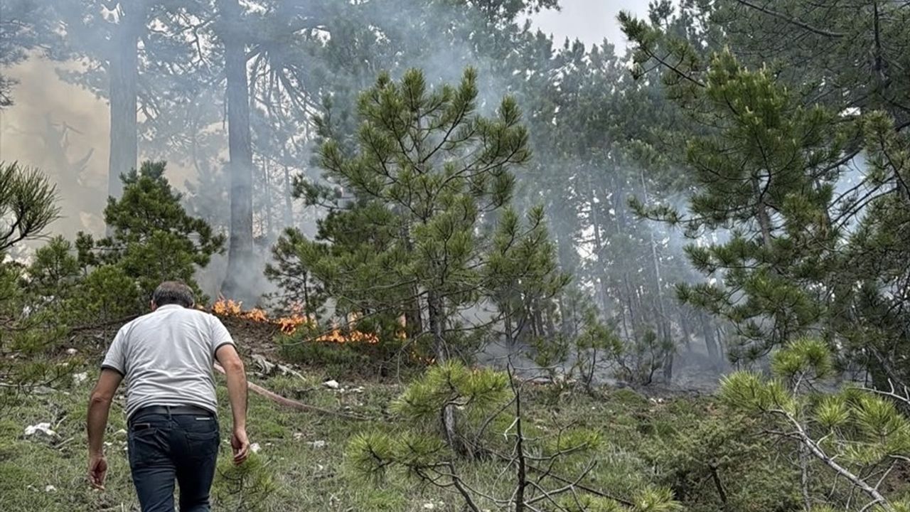 Denizli'de Yıldırım Düşmesiyle Çıkan Orman Yangını Kontrol Altına Alındı