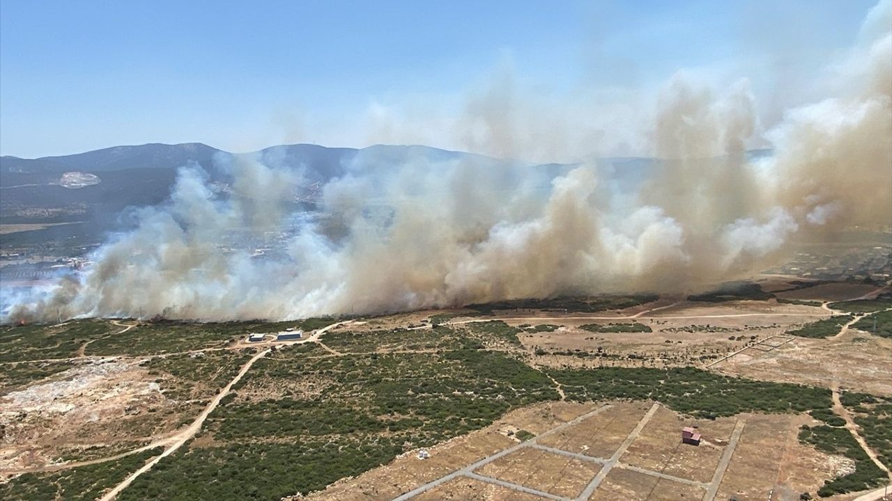 Didim'de Makilik Alanda Dünya Sarsan Yangın!