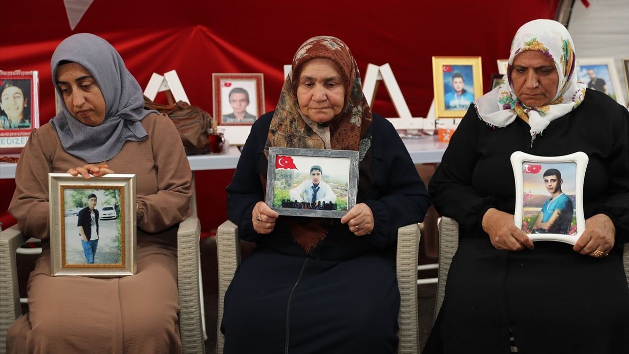 Diyarbakır Anneleri Evlatlarına Kavuşmak İçin Mücadele Ediyor