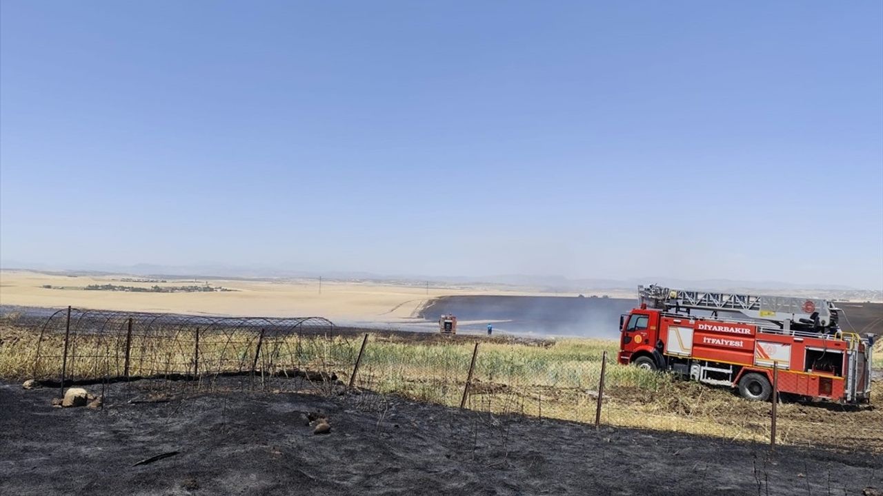 Diyarbakır'da Yangın: 1000 Dekar Buğday ve Arpa Alanı Zarar Gördü