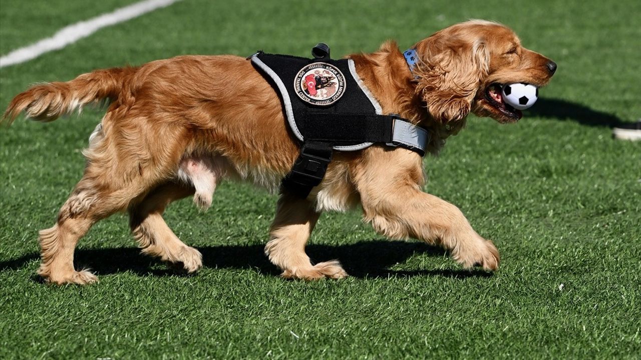 Düzce ve Karabük'te Sporla Uyuşturucuya Karşı Farkındalık Etkinliği