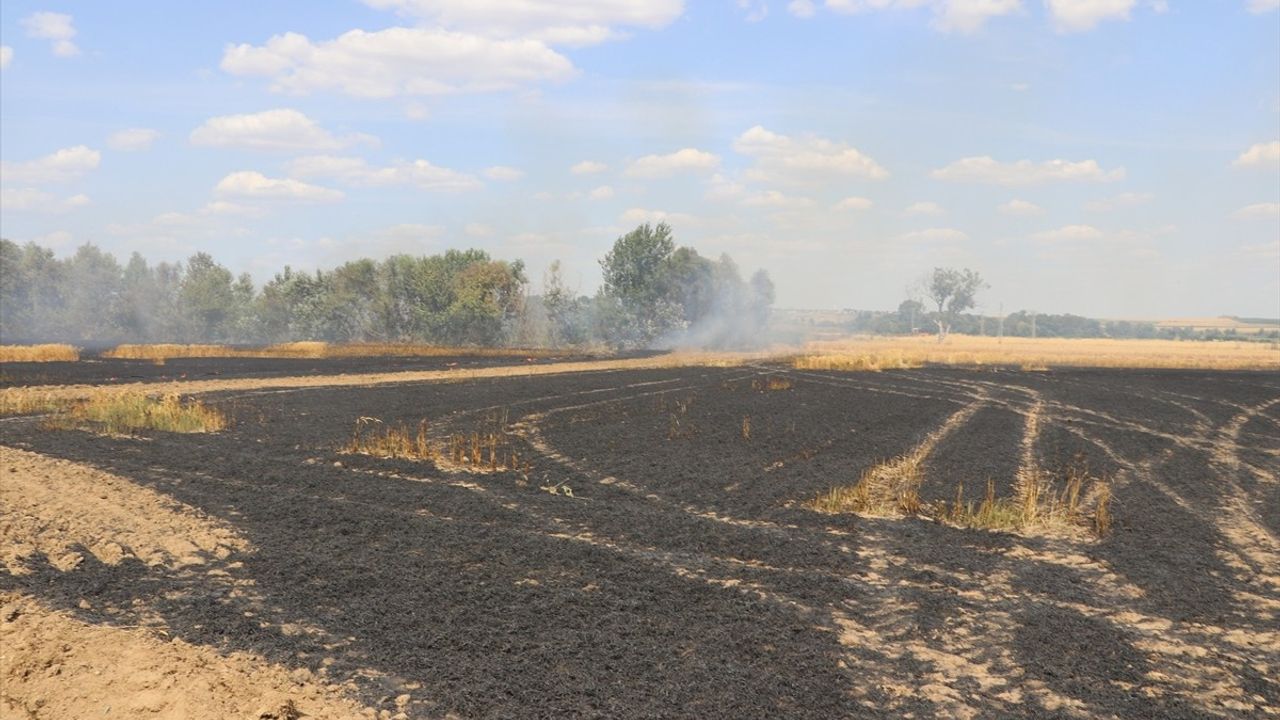Edirne'de Buğday Ekili Alan Yandı: 10 Dekar Zarar Gördü