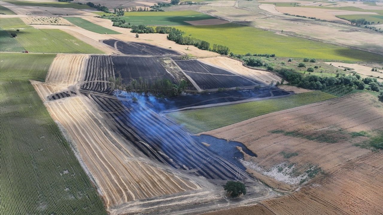 Edirne'de Buğday Tarlasında Yangın: Zarar Büyümeden Söndürüldü