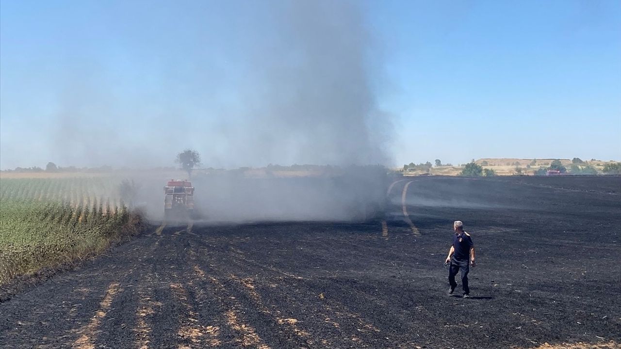 Edirne'de Buğday Tarlasındaki Yangın Kontrol Altına Alındı
