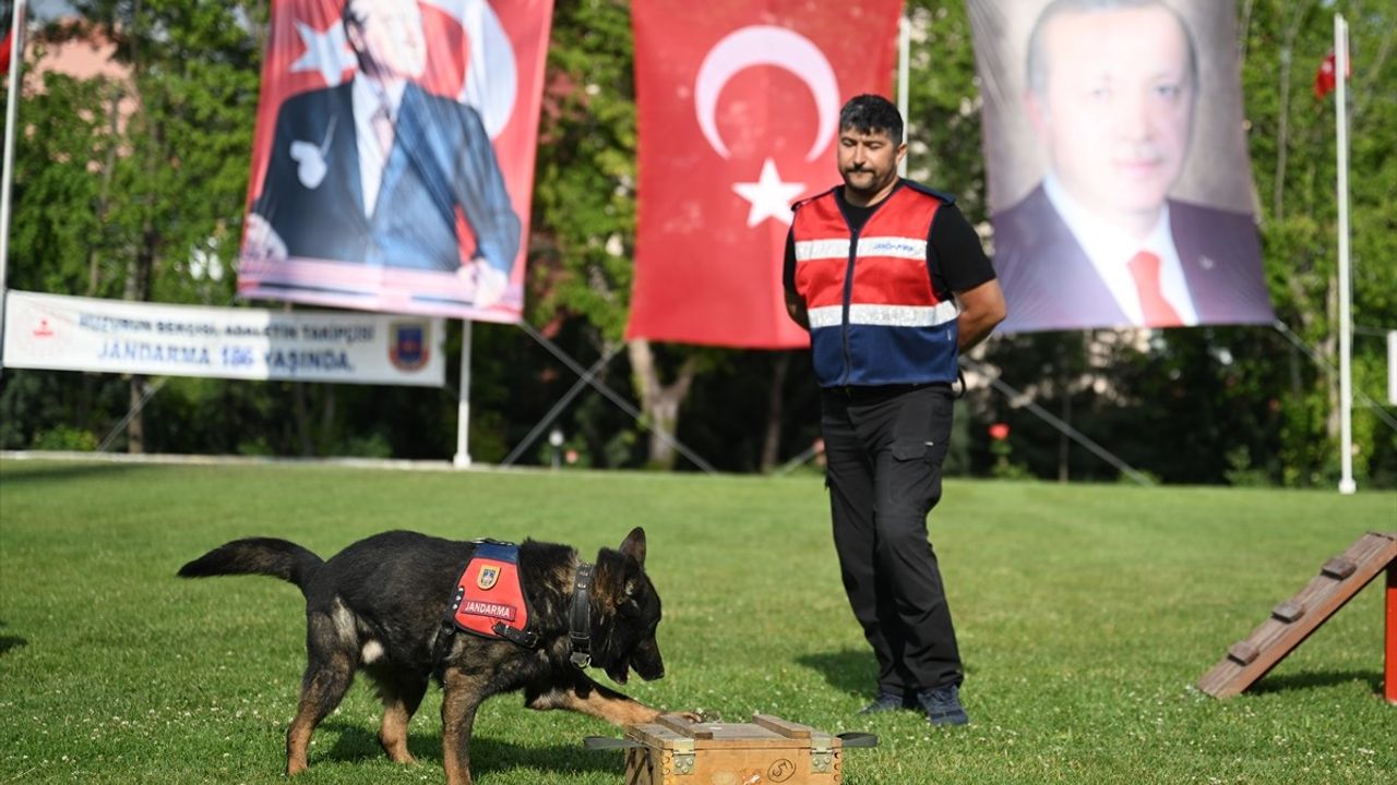 Edirne'de Jandarmanın Dedektör Köpeği İmge Emekliye Ayrıldı
