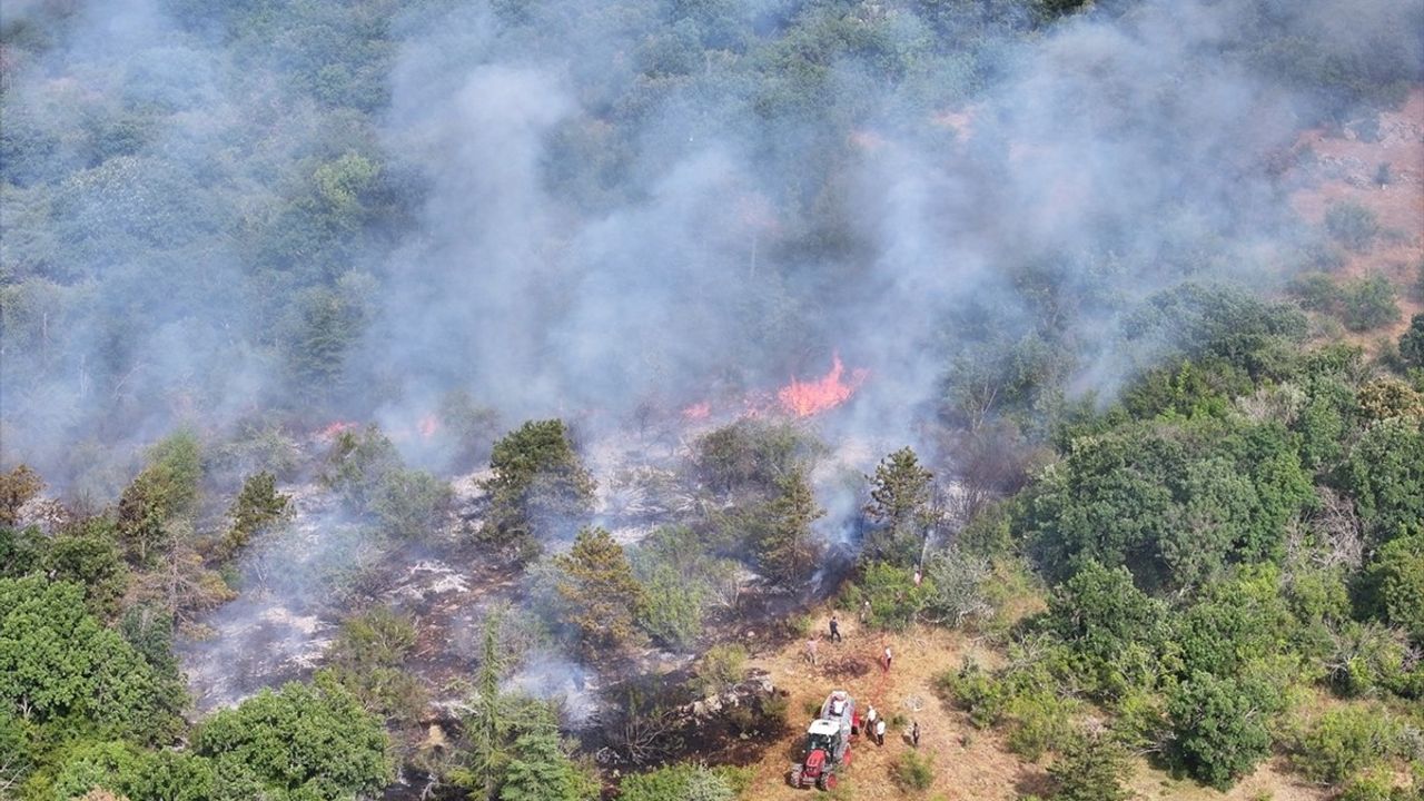 Edirne'de Orman Yangınına Hızlı Müdahale