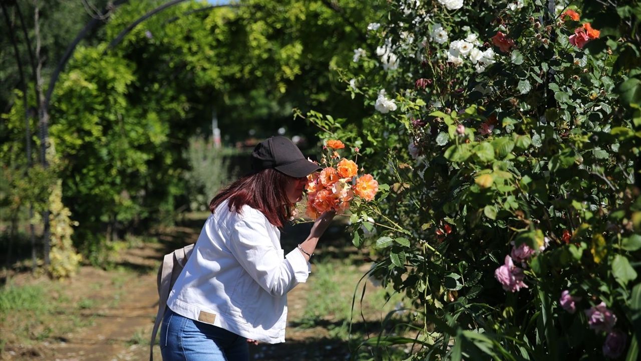 Edirne'de Renkli ve Aromatik 'Koku Tüneli' Hayata Geçirildi