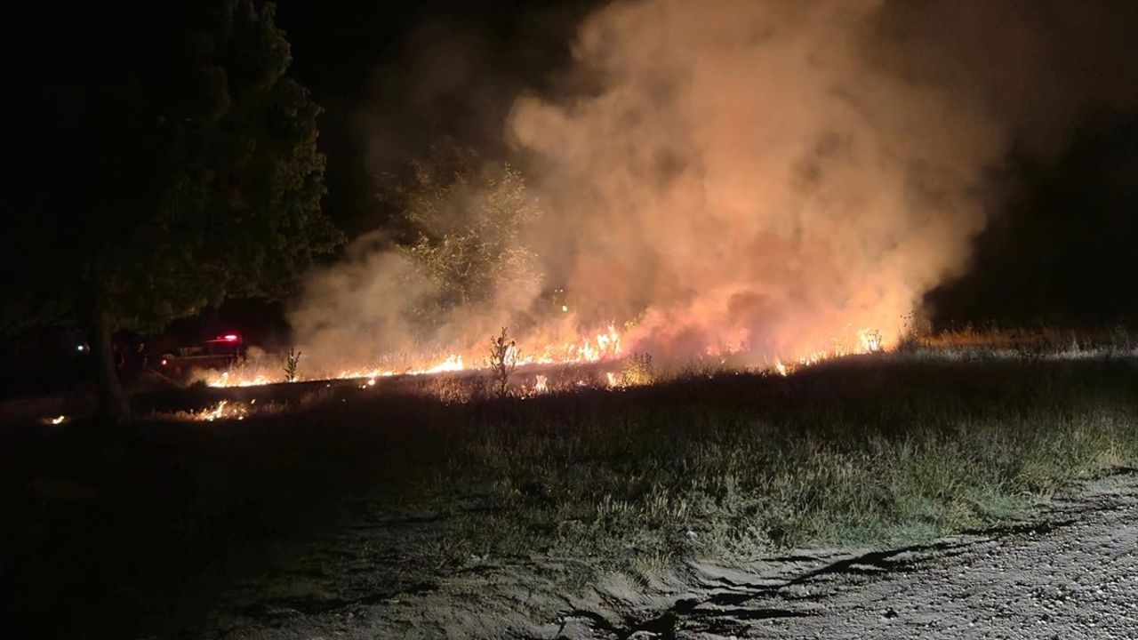 Edirne'deki Tunca Nehri Kenarındaki Yangın Kontrol Altına Alındı