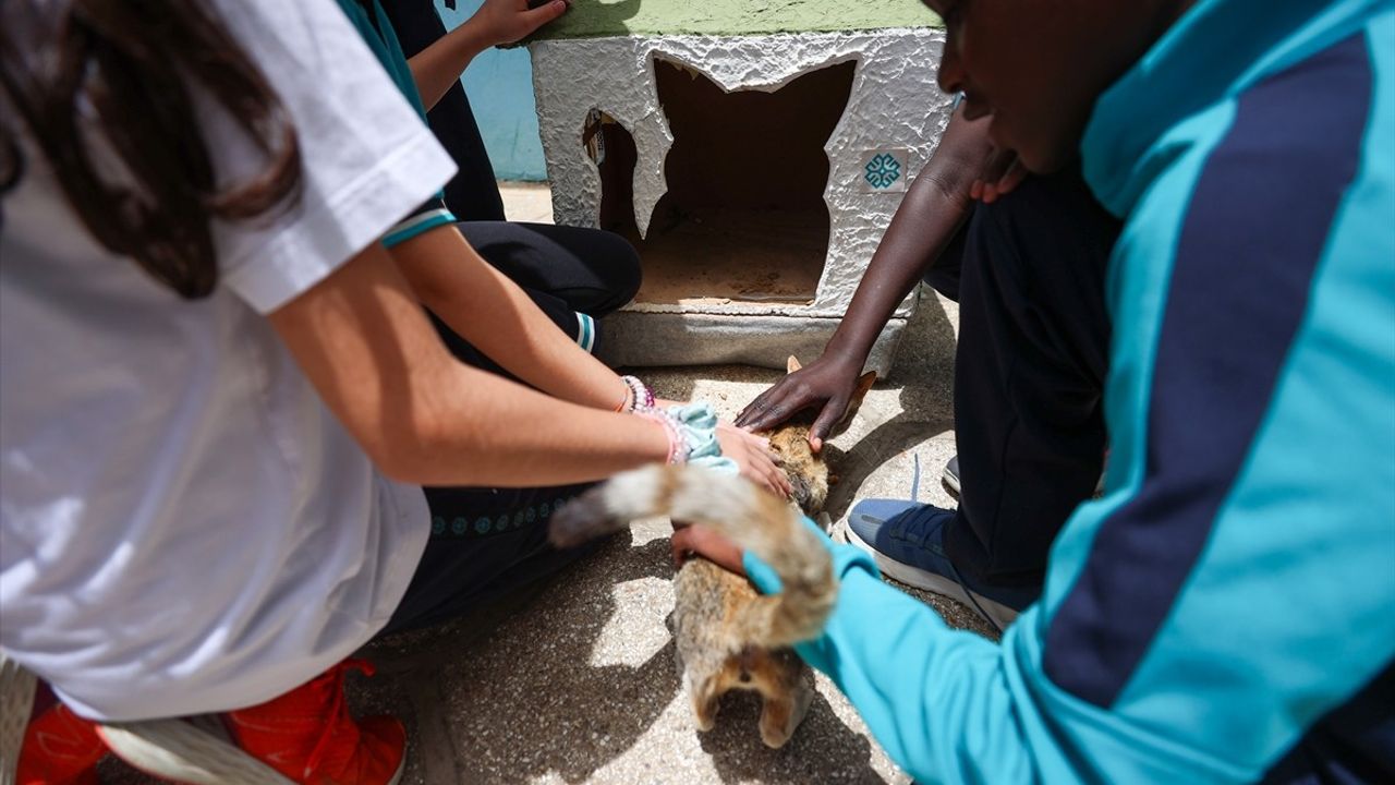 Emine Erdoğan'ın Sıfır Atık Girişimi, Senegal'de Fark Yaratıyor