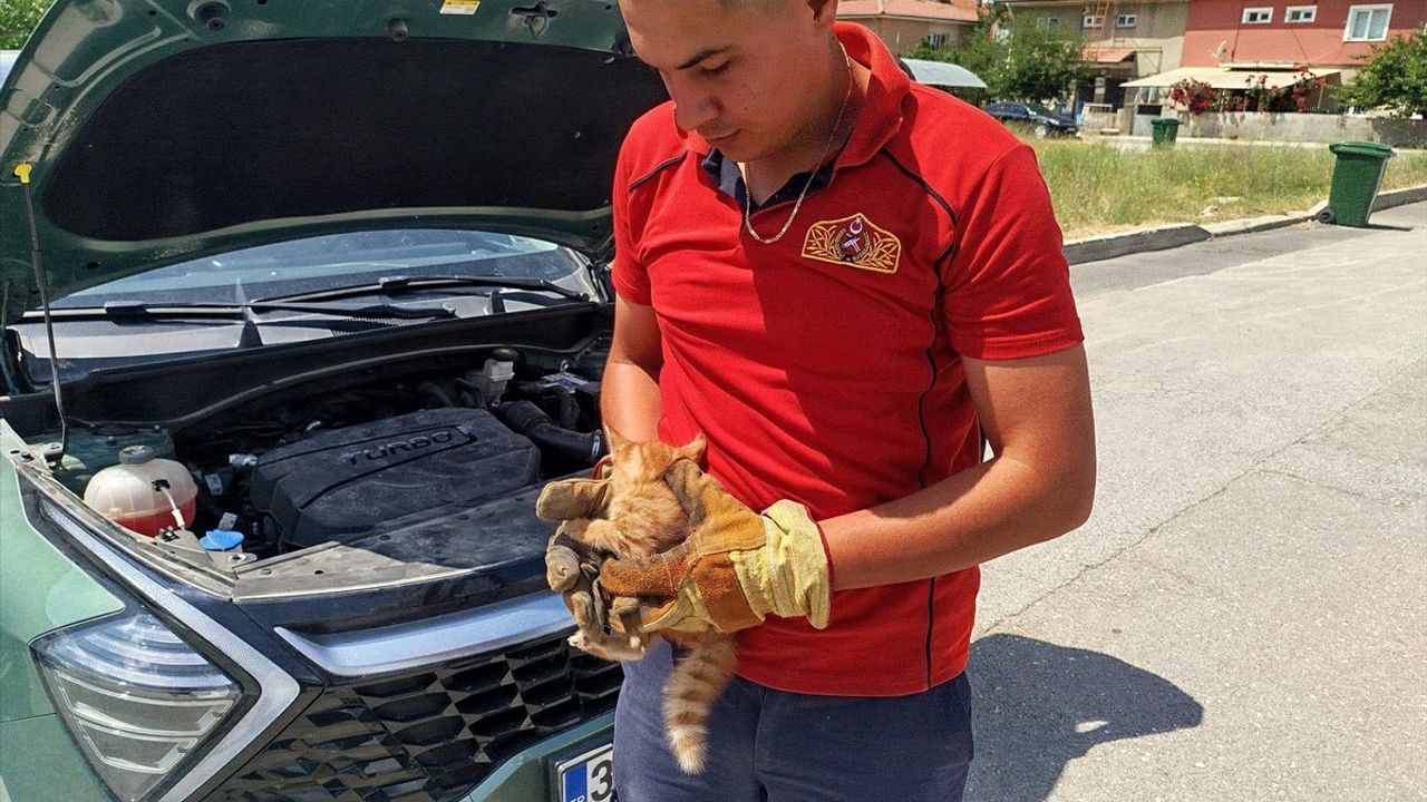 Erzincan'da İtfaiye, Motor Bölümünde Sıkışan Kedi Yavrularını Kurtardı