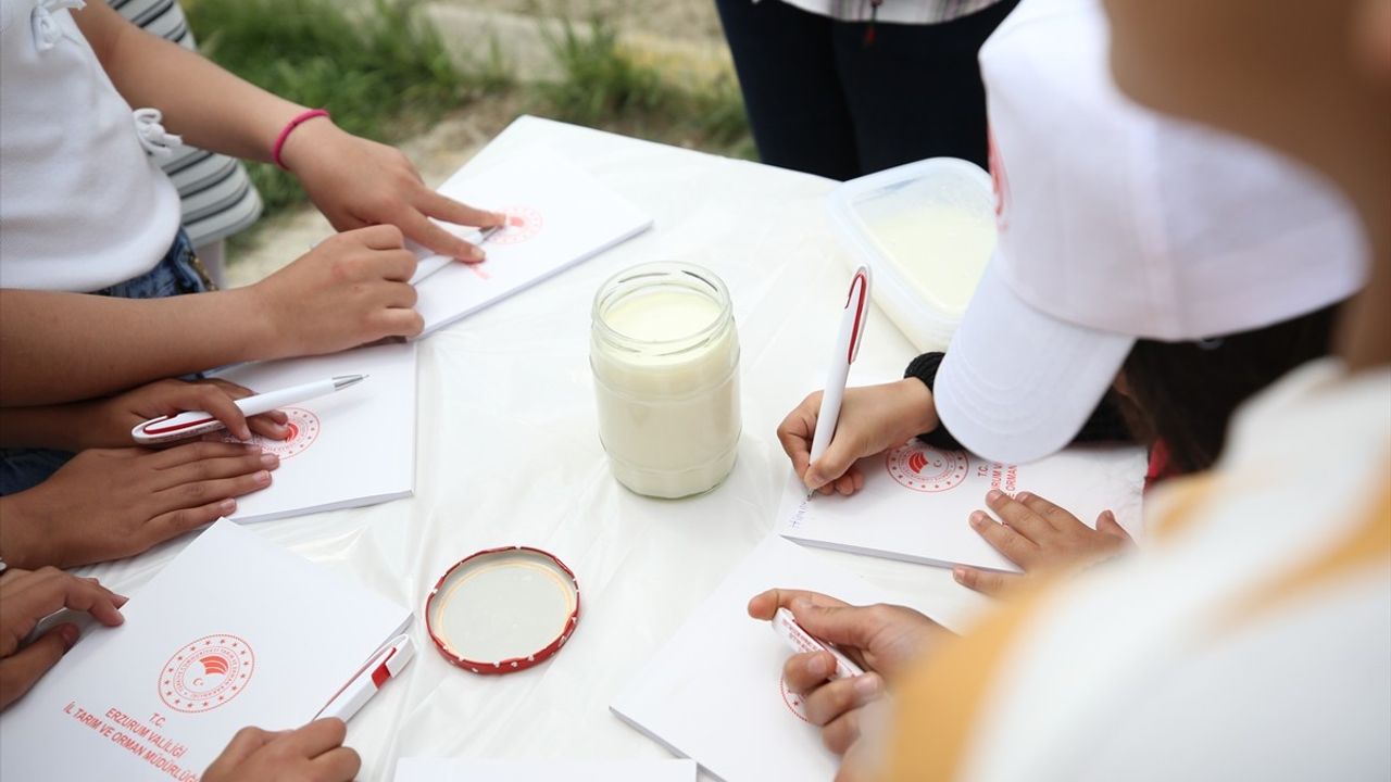 Erzurum'da Koruma Altındaki Çocuklar Süt Ürünleri Yapımını Öğrendi