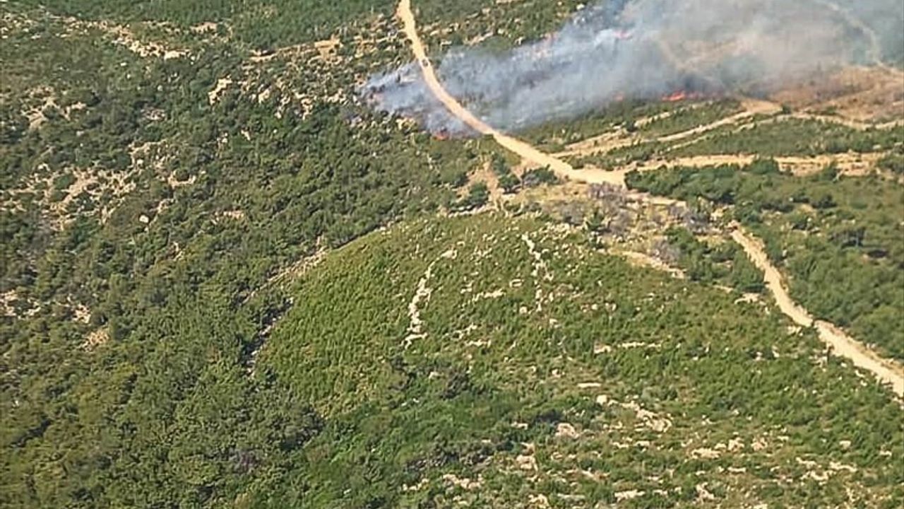 Foça'da Orman Yangını: Havadan ve Karadan Mücadele Devam Ediyor