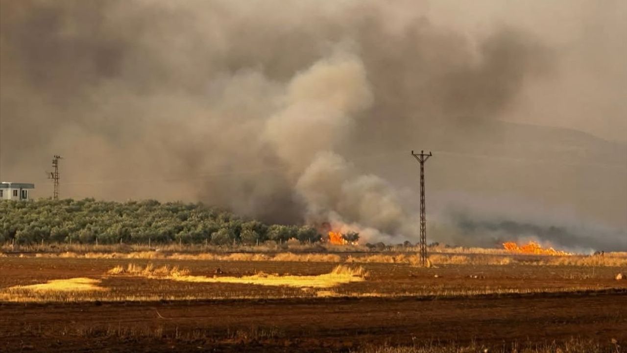 Gaziantep’te 500 Dönümlük Buğday Tarlasındaki Yangına Müdahale Ediliyor