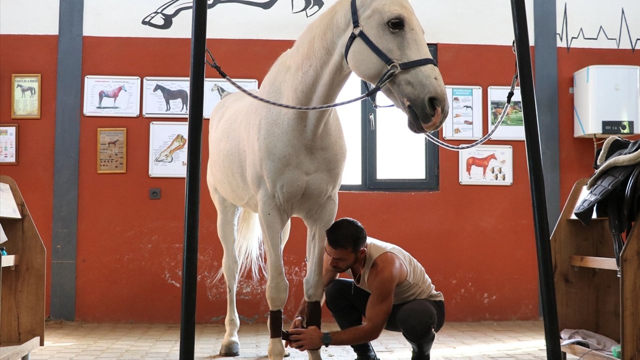 Gaziantep'te Doktor, Hobi Olarak Başladığı Binicilikte Lisanslı Sporcu Oldu