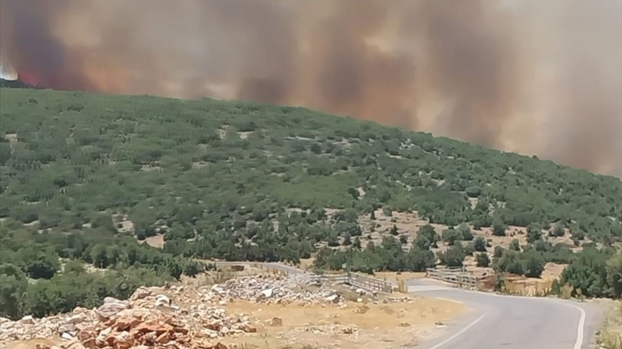 Gaziantep'te Orman Yangınına Hızla Müdahele Ediliyor