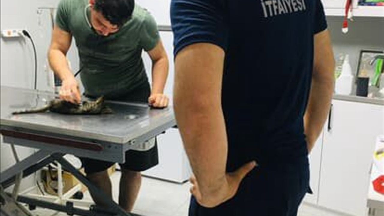 Hatay'da İtfaiye Ekibi, Kalp Masajıyla Kedi Yavrusu Hayata Döndürdü