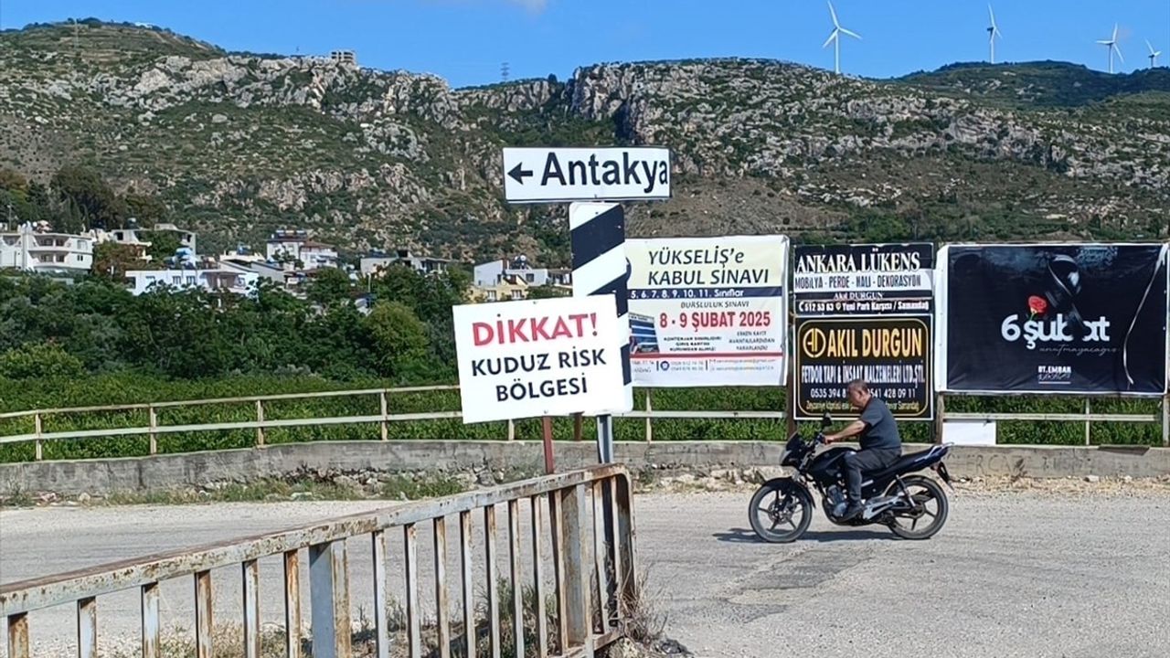 Hatay'da Kuduz Karantinası Altındaki 4 Mahalleden Sahipsiz Köpekler Toplanıyor