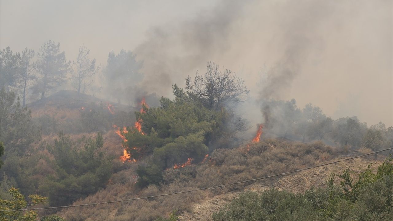 Hatay'da Orman Yangını: 1800 Vatandaş Tahliye Edildi