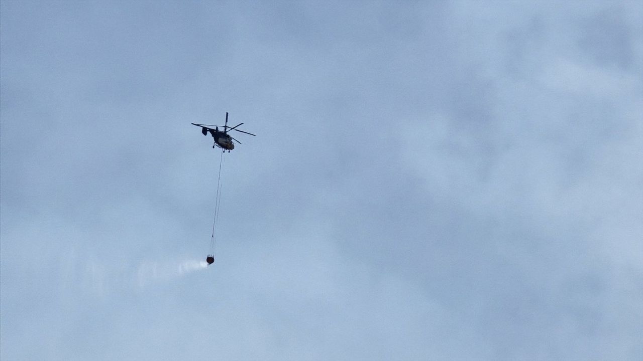 Hatay'ın Hassa İlçesinde Orman Yangını: Havadan ve Karadan Mücadele Devam Ediyor