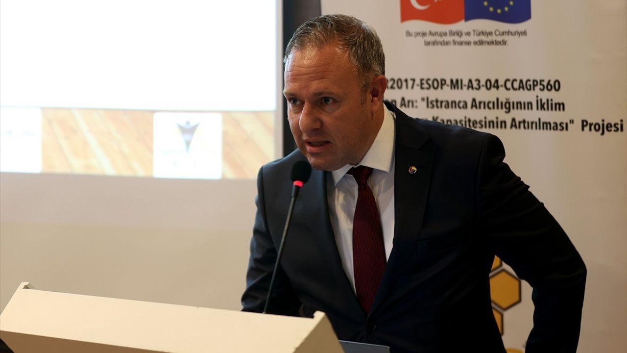 İklim Değişikliği Arı Ölümlerini Artırıyor