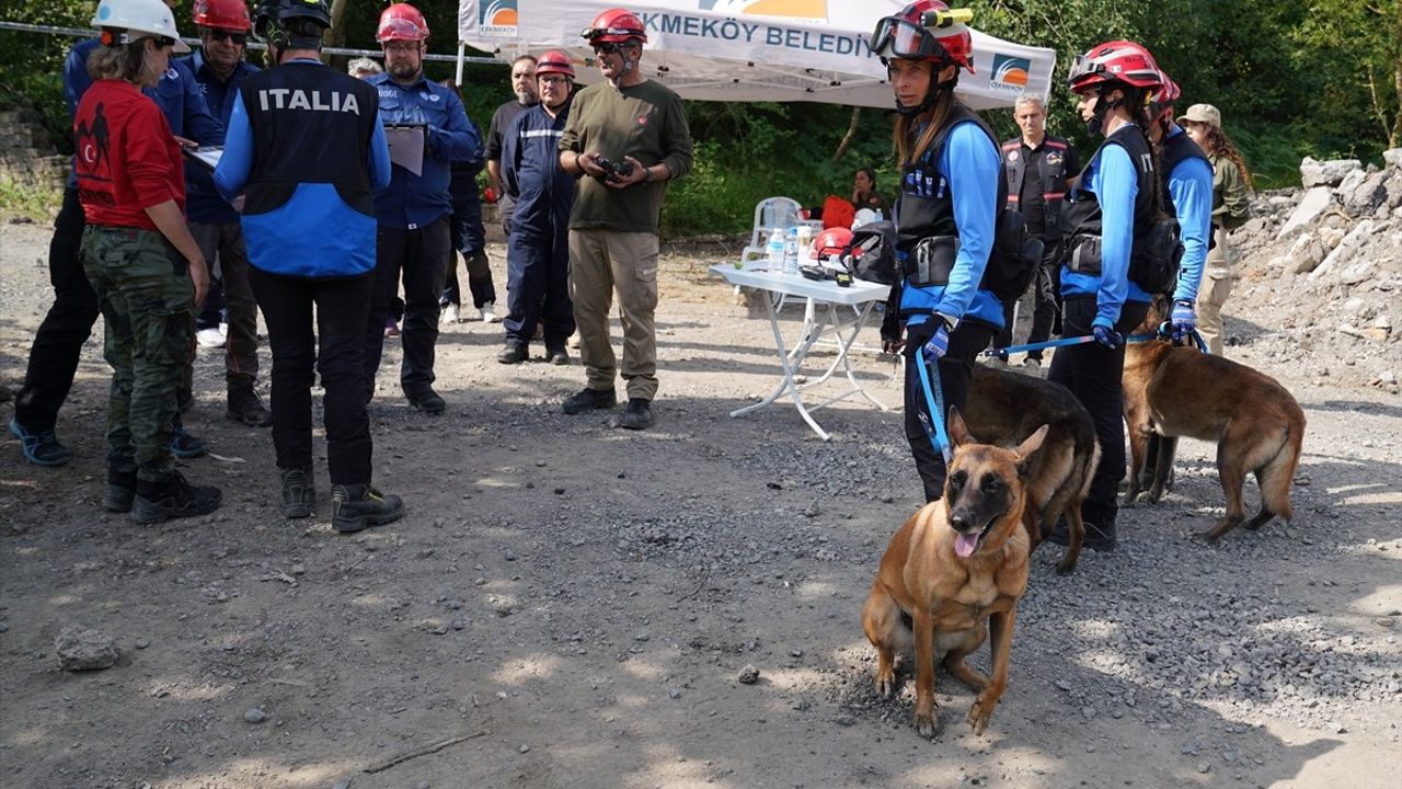 İstanbul'da 2025 Dünya Arama Kurtarma Köpekleri Şampiyonası Yapıldı