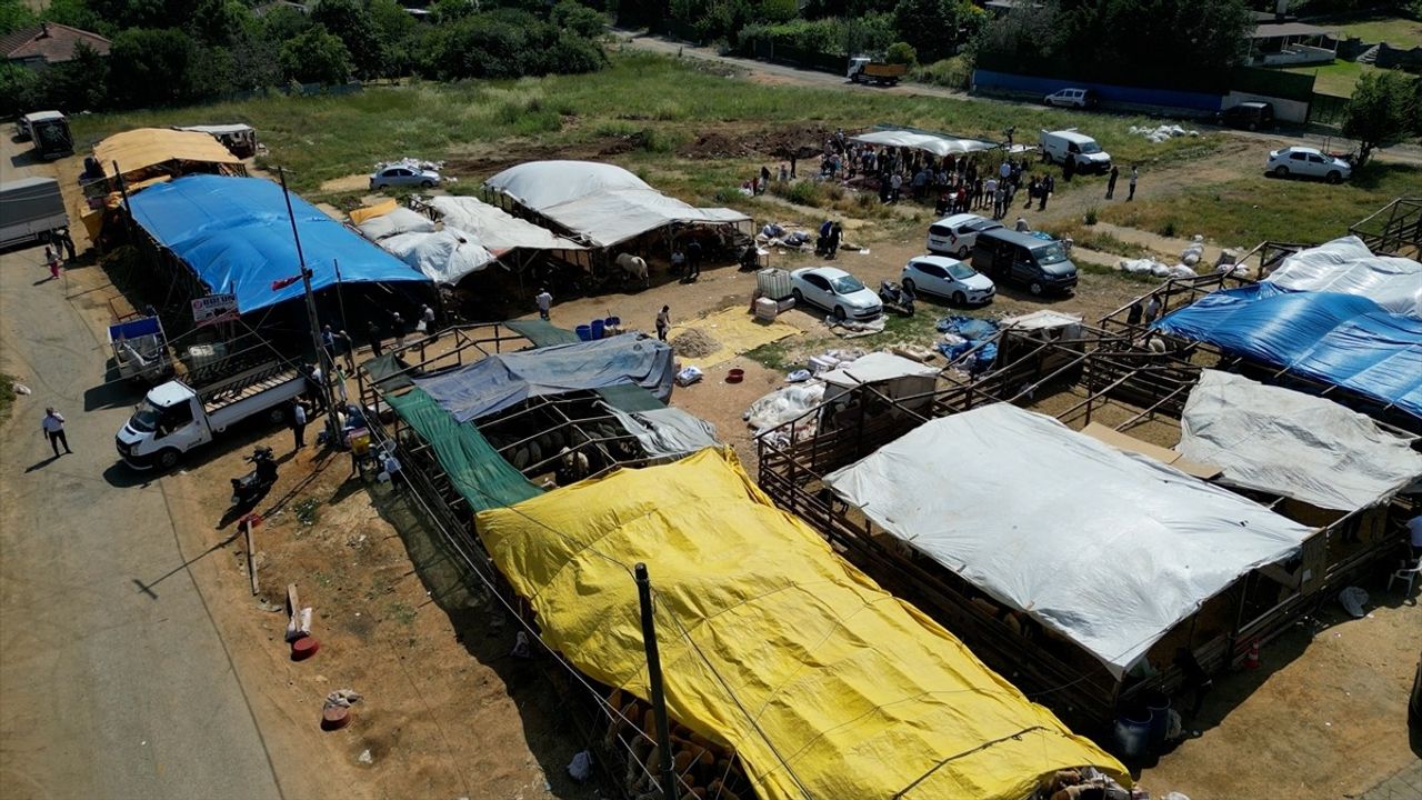 İstanbul'da Dronla Kaçak Kurban Kesim Denetimi