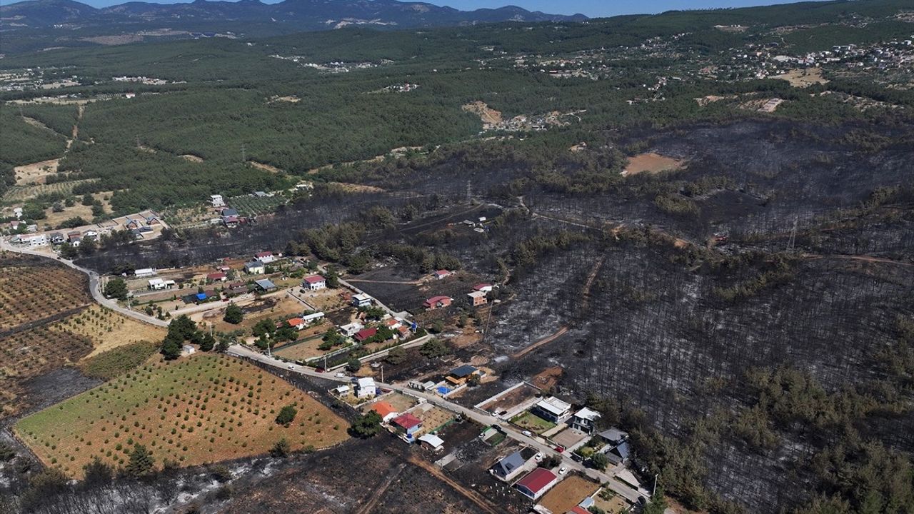 İzmir Bornova'daki Orman Yangını Havadan Görüntülendi