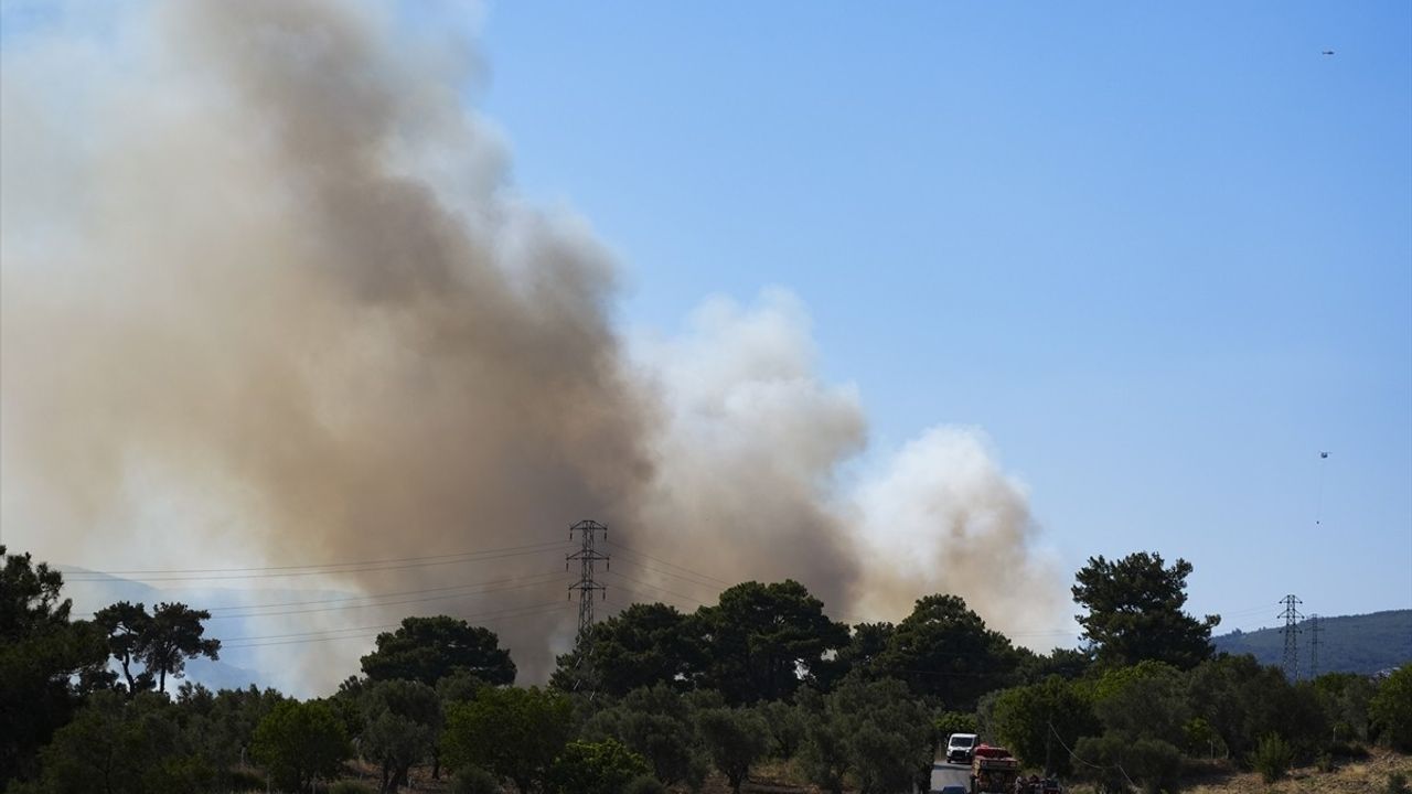 İzmir Bornova'daki Yangın: Tarım Arazisinden Ormana Sıçradı