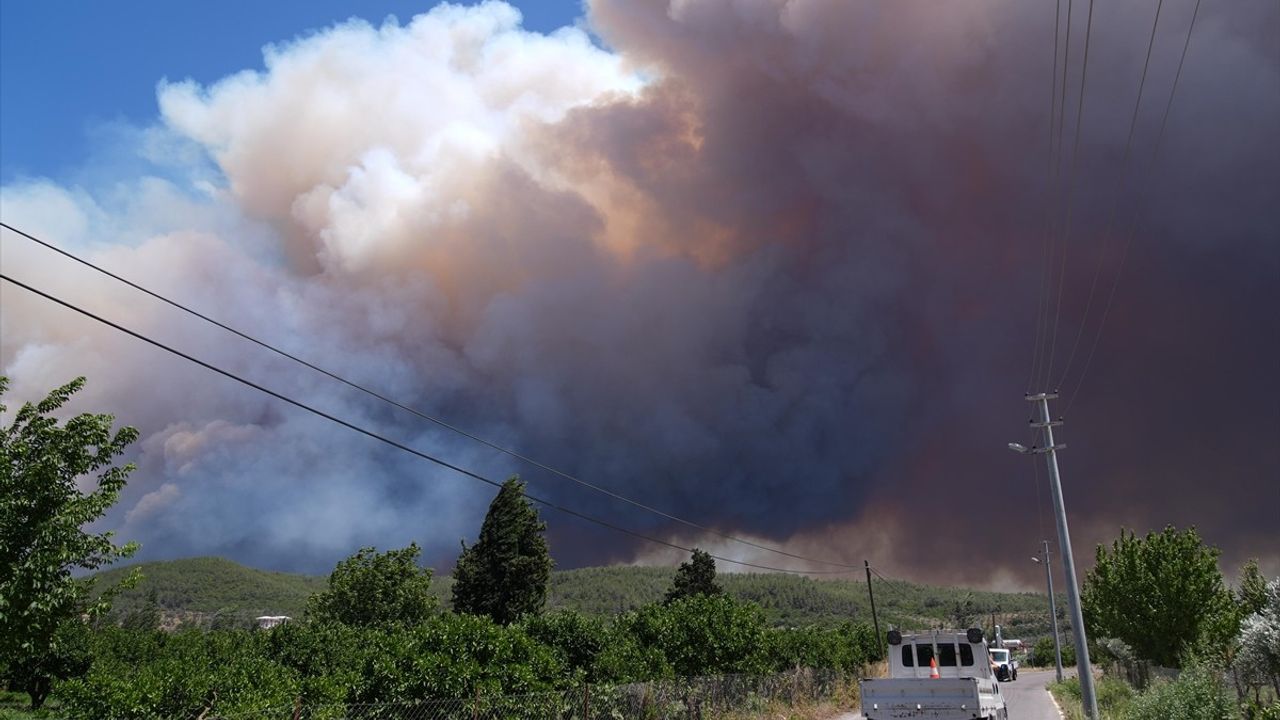İzmir'de Menderes ve Seferihisar Arasında Orman Yangını: Hızla Müdahale Ediliyor