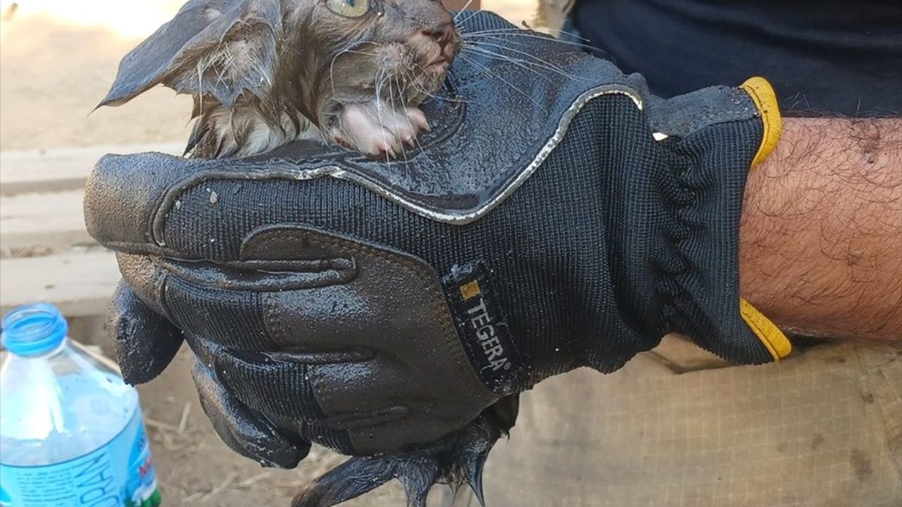 İzmir'de Müştemilatta Yangın: 1 Yaşındaki Bebek Hayatını Kaybetti